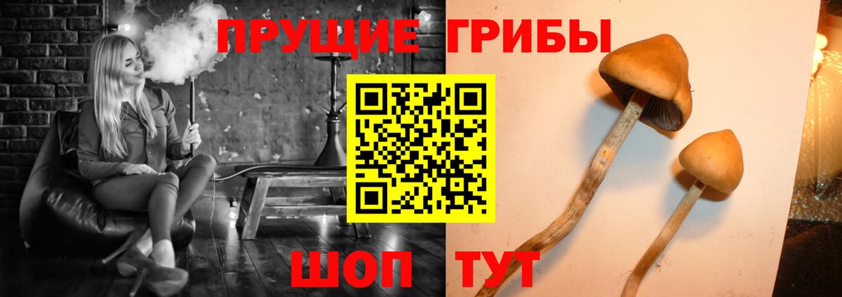 Псилоцибиновые грибы ЛСД Елизово